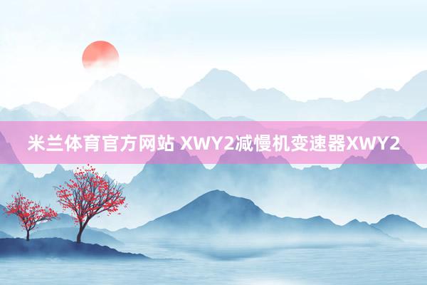 米兰体育官方网站 XWY2减慢机变速器XWY2